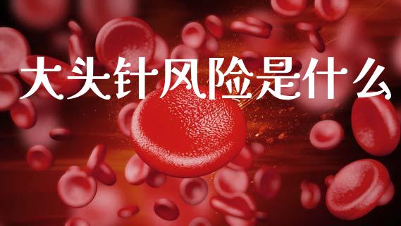 大头针风险是什么_https://m.qmgjg.com_投资银行_第1张