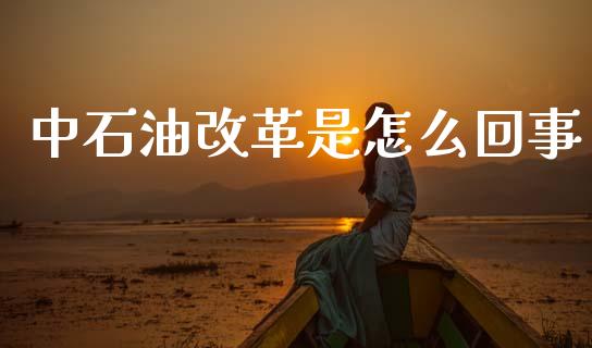 中石油改革是怎么回事_https://m.qmgjg.com_货币基金_第1张