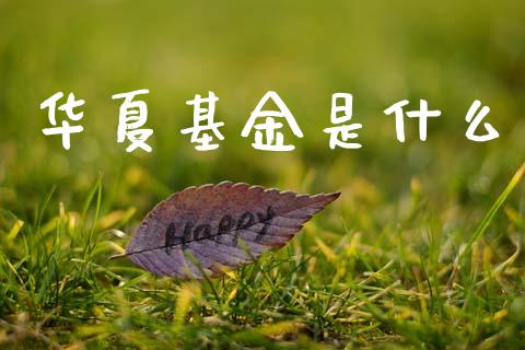华夏基金是什么_https://m.qmgjg.com_货币基金_第1张