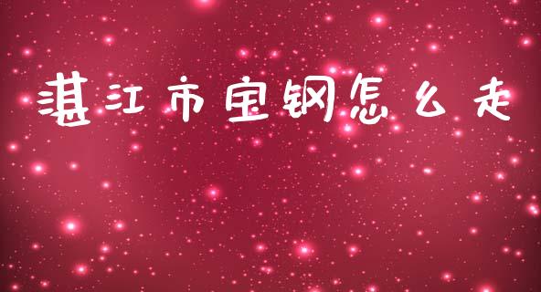 湛江市宝钢怎么走_https://m.qmgjg.com_资金管理_第1张