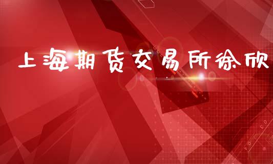 上海期货交易所徐欣_https://m.qmgjg.com_投资银行_第1张