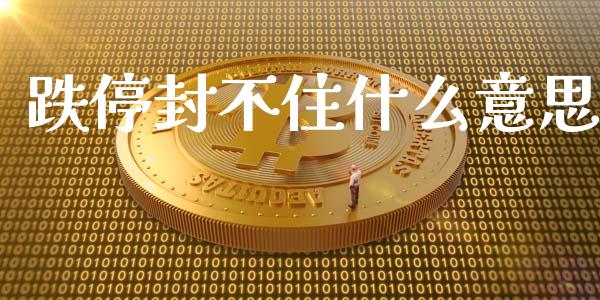 跌停封不住什么意思_https://m.qmgjg.com_资金管理_第1张