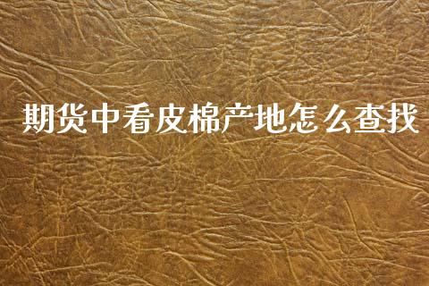 期货中看皮棉产地怎么查找_https://m.qmgjg.com_货币基金_第1张