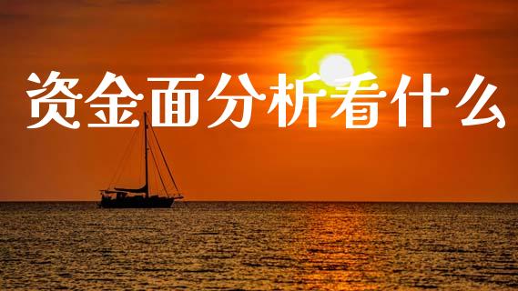 资金面分析看什么_https://m.qmgjg.com_投资银行_第1张