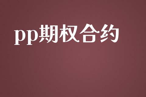 pp期权合约_https://m.qmgjg.com_投资银行_第1张