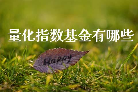 量化指数基金有哪些_https://m.qmgjg.com_货币基金_第1张