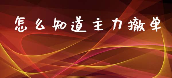 怎么知道主力撤单_https://m.qmgjg.com_货币基金_第1张