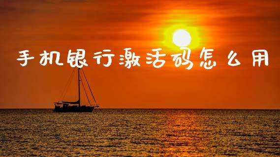 手机银行激活码怎么用_https://m.qmgjg.com_货币基金_第1张