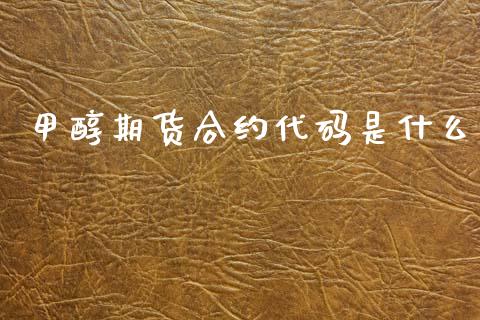 甲醇期货合约代码是什么_https://m.qmgjg.com_资金管理_第1张