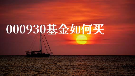 000930基金如何买_https://m.qmgjg.com_货币基金_第1张
