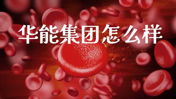 华能集团怎么样_https://m.qmgjg.com_金融市场_第1张