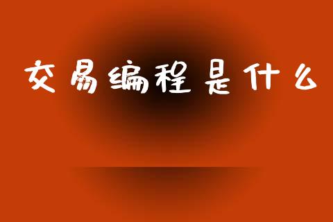 交易编程是什么_https://m.qmgjg.com_投资银行_第1张
