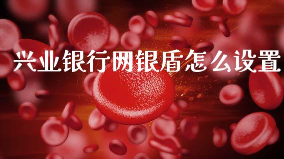 兴业银行网银盾怎么设置_https://m.qmgjg.com_投资银行_第1张