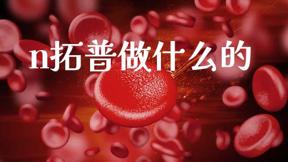 n拓普做什么的_https://m.qmgjg.com_资金管理_第1张