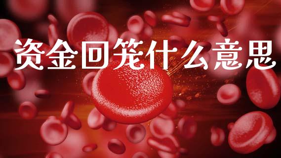 资金回笼什么意思_https://m.qmgjg.com_投资银行_第1张