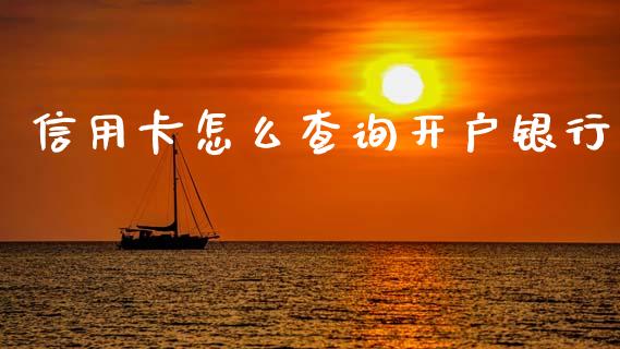 信用卡怎么查询开户银行_https://m.qmgjg.com_资金管理_第1张