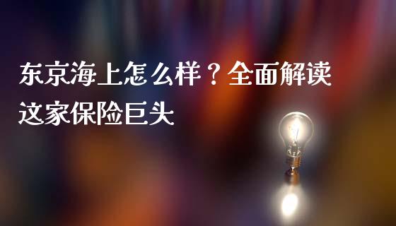 东京海上怎么样？全面解读这家保险巨头_https://m.qmgjg.com_货币基金_第1张