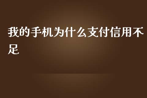 我的手机为什么支付信用不足_https://m.qmgjg.com_投资银行_第1张
