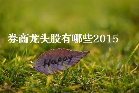 券商龙头股有哪些2015_https://m.qmgjg.com_资金管理_第1张