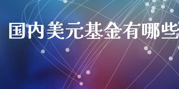 国内美元基金有哪些_https://m.qmgjg.com_资金管理_第1张