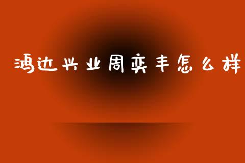 鸿达兴业周奕丰怎么样_https://m.qmgjg.com_资金管理_第1张