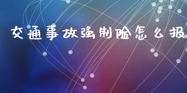 交通事故强制险怎么报_https://m.qmgjg.com_资金管理_第1张