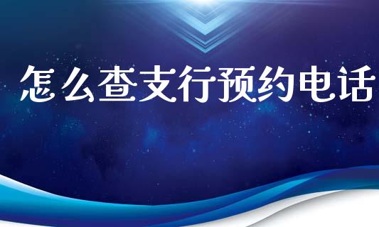 怎么查支行预约电话_https://m.qmgjg.com_货币基金_第1张