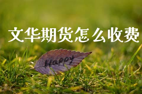 文华期货怎么收费_https://m.qmgjg.com_金融市场_第1张