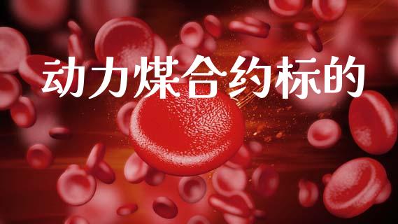动力煤合约标的_https://m.qmgjg.com_资金管理_第1张