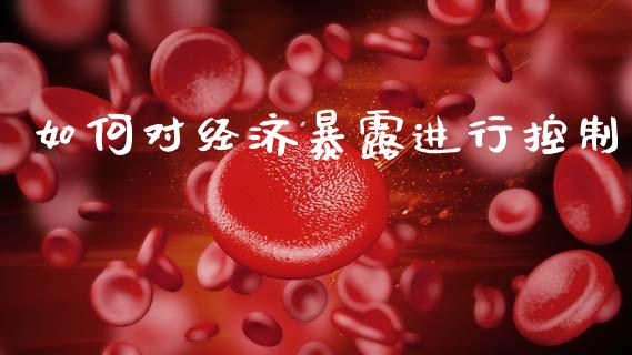 如何对经济暴露进行控制_https://m.qmgjg.com_货币基金_第1张