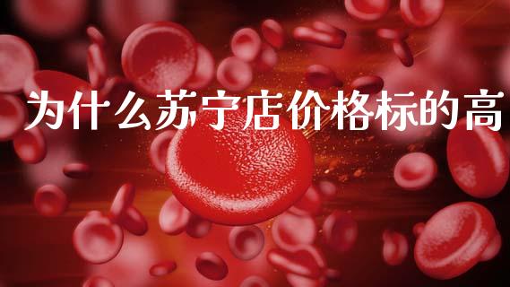 为什么苏宁店价格标的高_https://m.qmgjg.com_货币基金_第1张