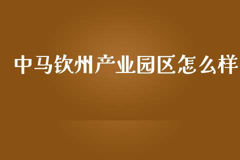 中马钦州产业园区怎么样_https://m.qmgjg.com_资金管理_第1张