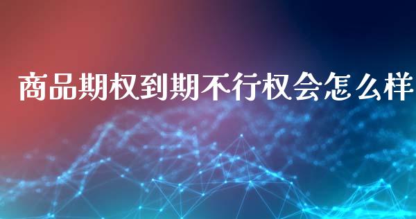 商品期权到期不行权会怎么样_https://m.qmgjg.com_资金管理_第1张
