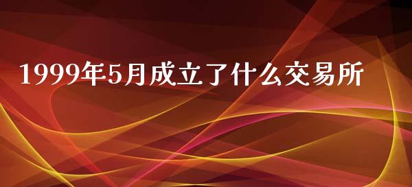 1999年5月成立了什么交易所_https://m.qmgjg.com_货币基金_第1张