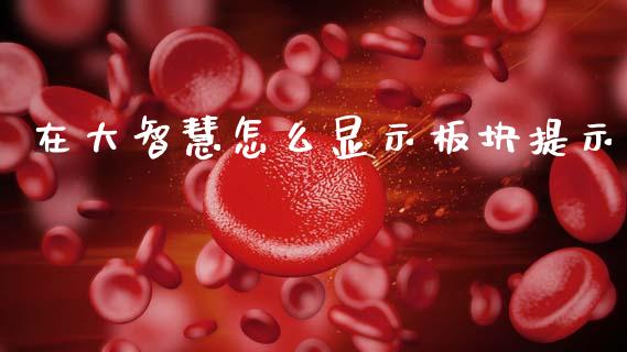 在大智慧怎么显示板块提示_https://m.qmgjg.com_货币基金_第1张
