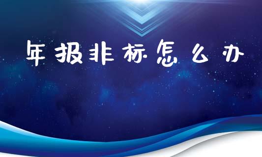 年报非标怎么办_https://m.qmgjg.com_资金管理_第1张