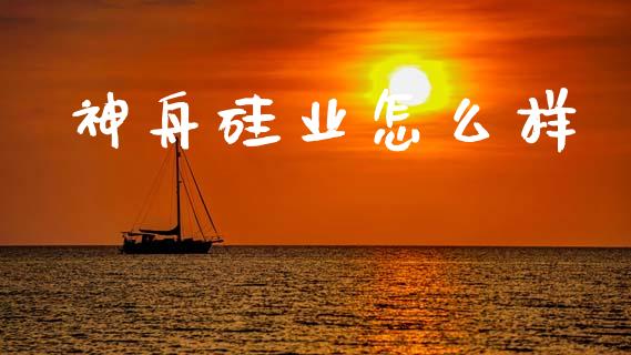 神舟硅业怎么样_https://m.qmgjg.com_资金管理_第1张