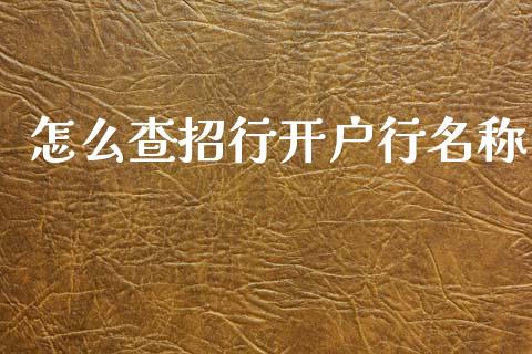 怎么查招行开户行名称_https://m.qmgjg.com_投资银行_第1张