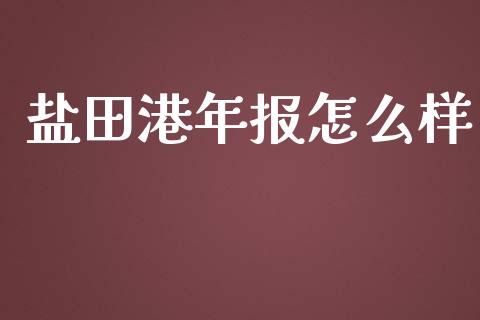 盐田港年报怎么样_https://m.qmgjg.com_货币基金_第1张
