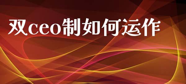 双ceo制如何运作_https://m.qmgjg.com_金融市场_第1张