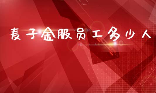 麦子金服员工多少人_https://m.qmgjg.com_资金管理_第1张