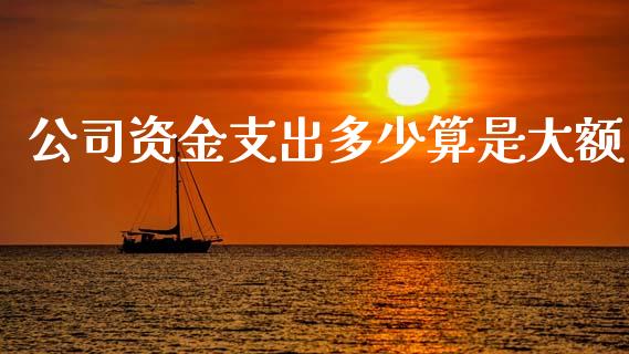 公司资金支出多少算是大额_https://m.qmgjg.com_投资银行_第1张