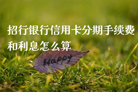 招行银行信用卡分期手续费和利息怎么算_https://m.qmgjg.com_投资银行_第1张