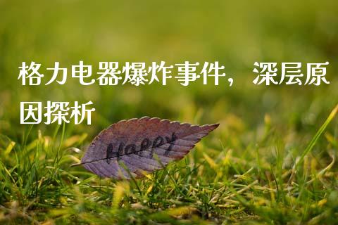 格力电器爆炸事件，深层原因探析_https://m.qmgjg.com_货币基金_第1张