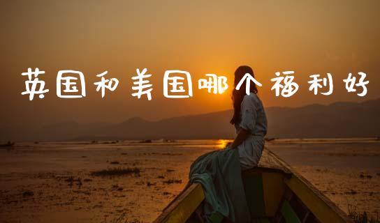 英国和美国哪个福利好_https://m.qmgjg.com_货币基金_第1张