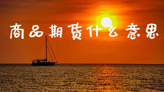 商品期货什么意思_https://m.qmgjg.com_资金管理_第1张