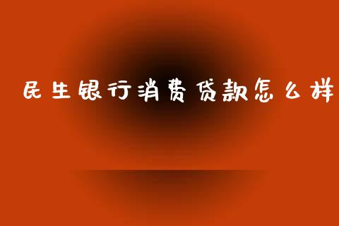 民生银行消费贷款怎么样_https://m.qmgjg.com_资金管理_第1张