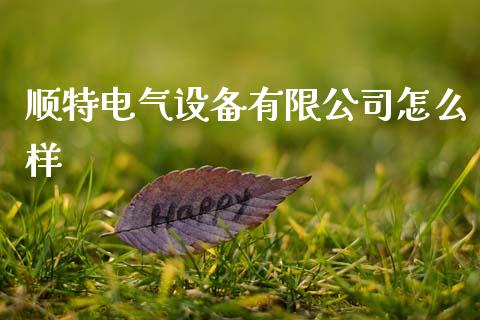 顺特电气设备有限公司怎么样_https://m.qmgjg.com_金融市场_第1张