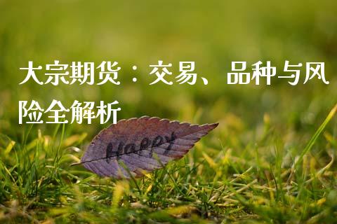 大宗期货：交易、品种与风险全解析_https://m.qmgjg.com_资金管理_第1张