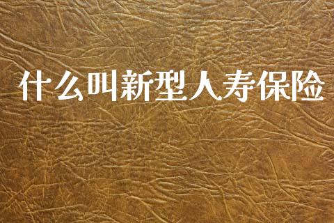 什么叫新型人寿保险_https://m.qmgjg.com_投资银行_第1张